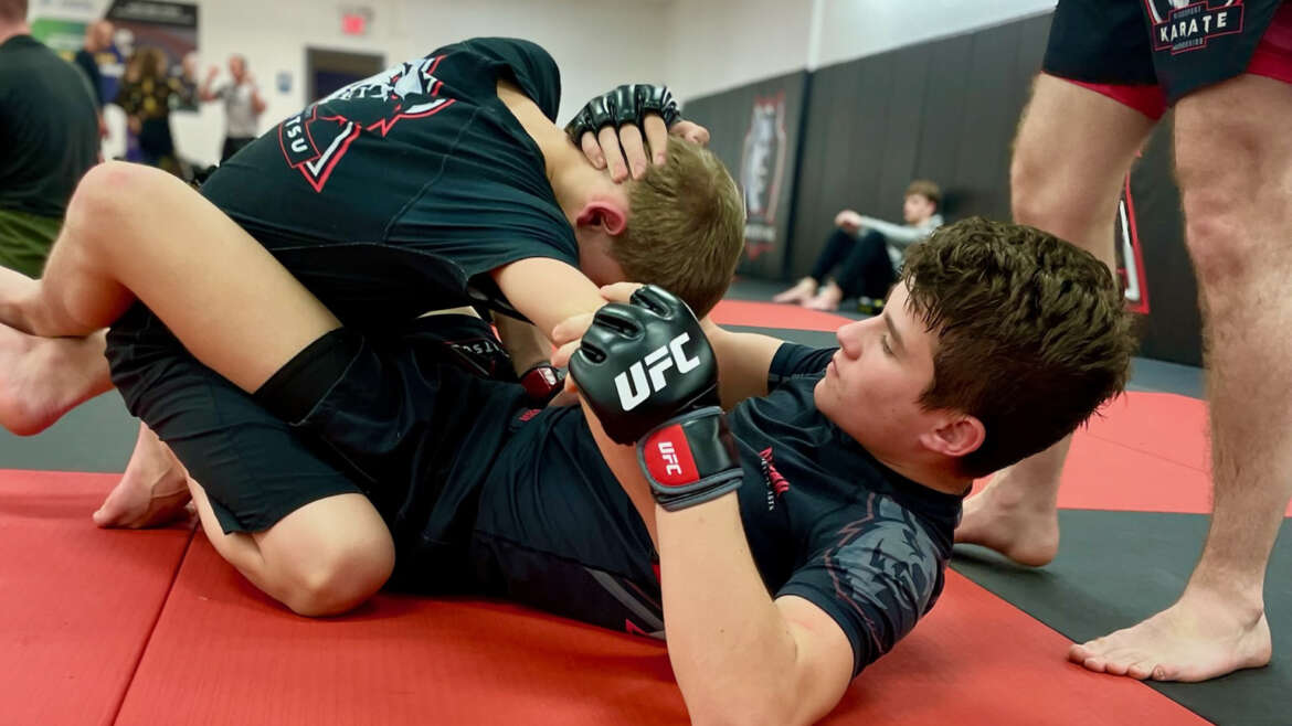 Mixed Martial Arts (MMA) Training